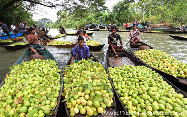 Bangladesh-photo-tour-floating-guava-market-day5