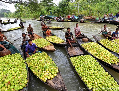 Riverine Beauty of Bangladesh